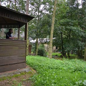 Enclosure for Giant anteaters at Olomouc Zoo
