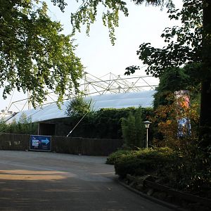 Toward Burger's Bush