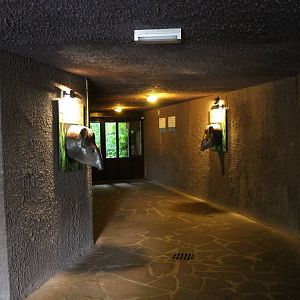 Hall-way to the Bush