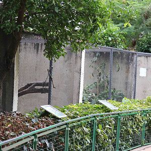 Carnivore cages, March 2016