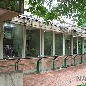 New reptile complex - outdoor area, March 2016