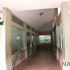 Inside the reptile complex, March 2016