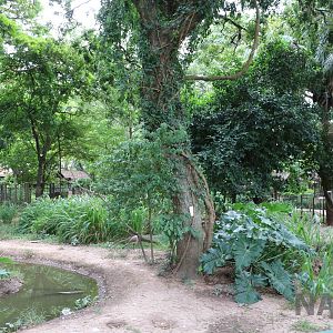 Mixed species exhibit, March 2016