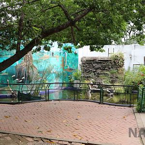 Pool outside the aquarium, March 2016