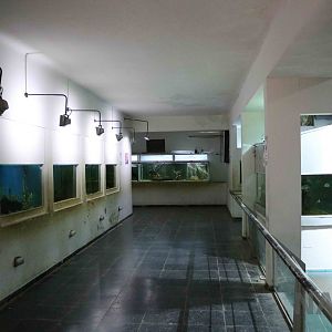 Inside the aquarium, March 2016