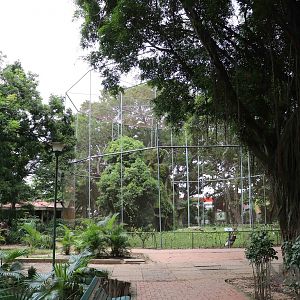 Condor aviary, March 2016