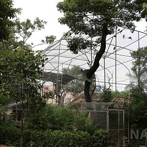 Macaw aviary, March 2016