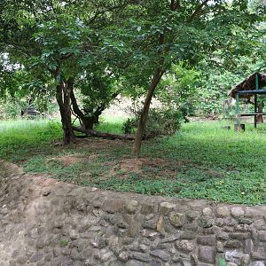 Bear enclosure, March 2016