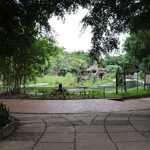 Monkey islands, March 2016