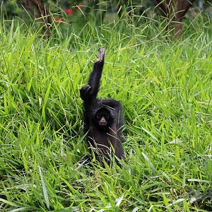 Pick me! Pick me! March 2016