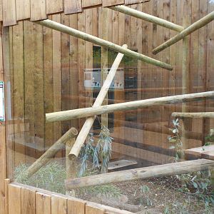 Ventura Wildlife Garden - 28/08/2016