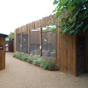 Ventura Wildlife Garden - 28/08/2016