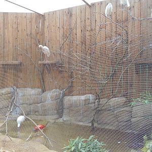 Ventura Wildlife Garden - 28/08/2016