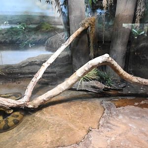 Anaconda Enclosure