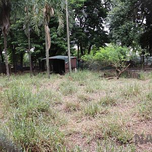 Deer enclosure, March 2016