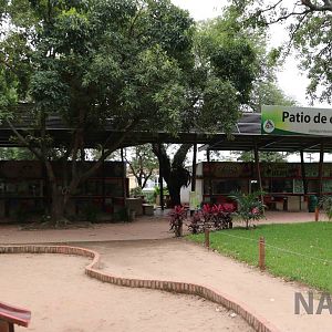 Food court, March 2016