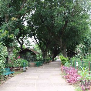 Main path, March 2016