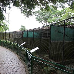 Monkey cages, March 2016