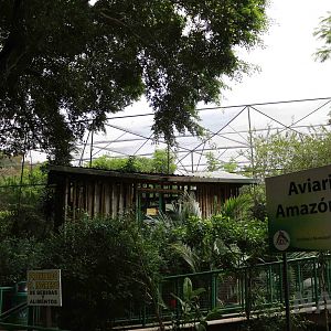 Amazon aviary, March 2016