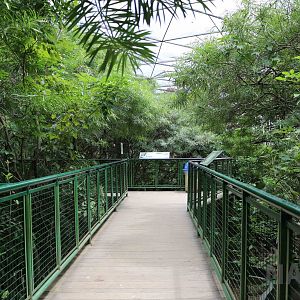 Aviary walk, March 2016