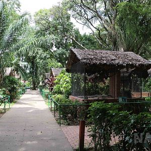 Main path, March 2016