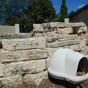 8/22/2016 - Menominee Park Zoo - River Otter Exhibit
