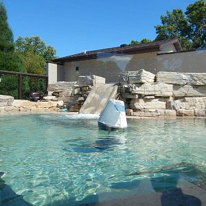 8/22/2016 - Menominee Park Zoo - River Otter Exhibit