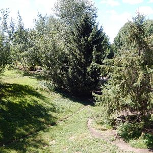 8/22/2016 - Menominee Park Zoo - Timber Wolf Habitat