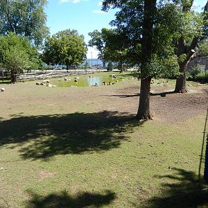 8/22/2016 - Menominee Park Zoo - Elk Habitat