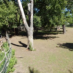 8/22/2016 - Menominee Park Zoo - Elk Habitat