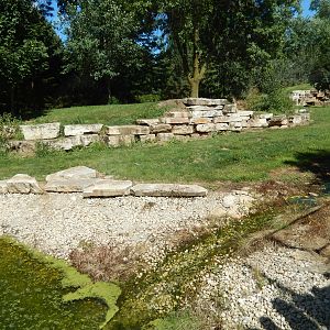 8/22/2016 - Menominee Park Zoo - Timber Wolf Habitat