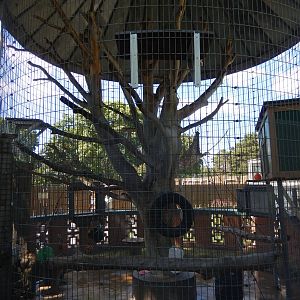 8/22/2016 - Menominee Park Zoo - Olive Baboon Cage