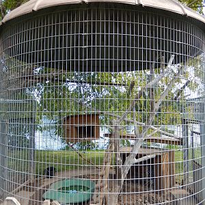 8/22/2016 - Menominee Park Zoo - African Crested Porcupine Cage