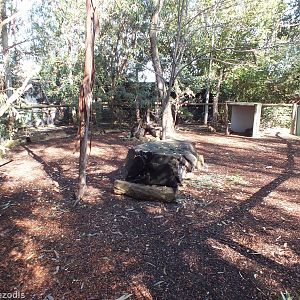 Quokka Enclosure