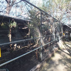 Large Squirrel Glider Enclosure
