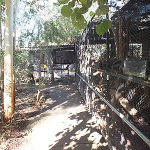 Small Mammals Area