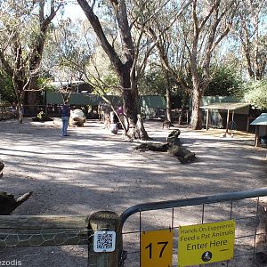 Walk-in Kangaroo Enclosure