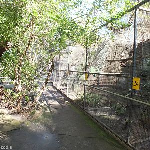 Large Parrot Enclosures