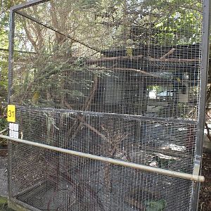 Kakiriki and Neophema Enclosure