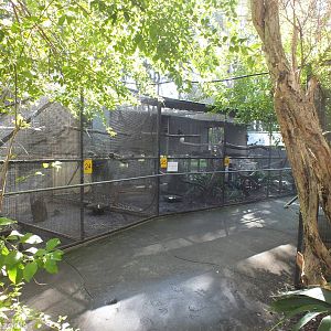 Parrot Aviaries