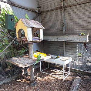 Feeding Area in Walkthrough Aviary
