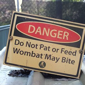 Wombat Sign