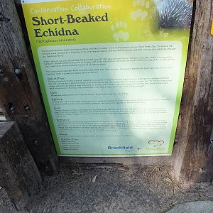 Echidna Sign