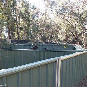 Tasmanian Devil Enclosures