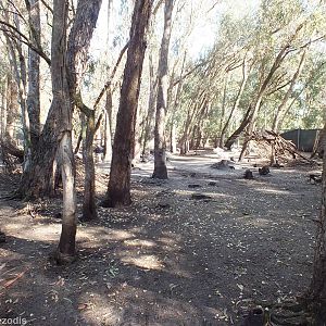 View of Lake Enclosure