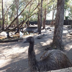 View of Lake Enclosure