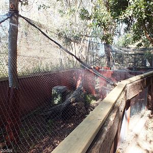 Bettong Enclosure