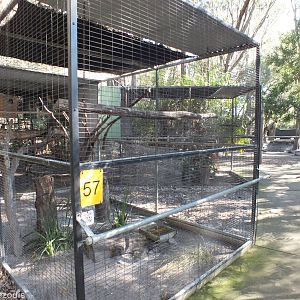 Bird of Prey Aviaries