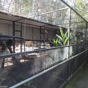 Eastern Quoll Enclosure