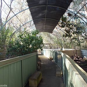 Tasmanian Devil Breeding Aviary